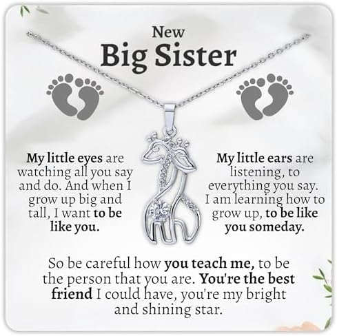 New Big Sister Gift